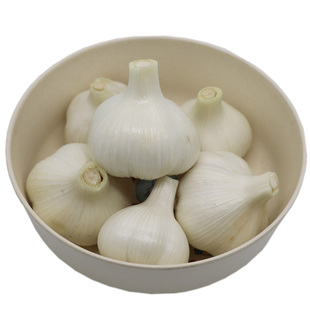 2025年新鲜大蒜苍山鲜蒜5斤兰陵老品种白皮四六瓣腌制糖醋蒜湿蒜