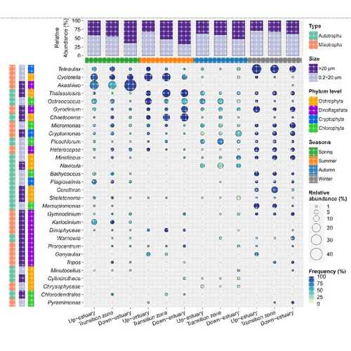 16s/18s/ITS扩增子/宏基因组测序数据分析制图 R代做辅导定制分析