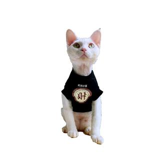 无毛猫衣服斯芬克斯德文春夏加绒打底卫衣国潮猫咪狗狗保暖外套潮