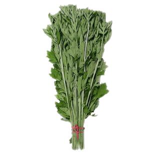新鲜野生整颗艾草艾叶长棵艾叶草端午节挂门上整把全株艾草叶驱蚊