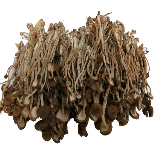 茶树菇包邮江西土特产广昌茶树菇不开伞干度好农家自种天然