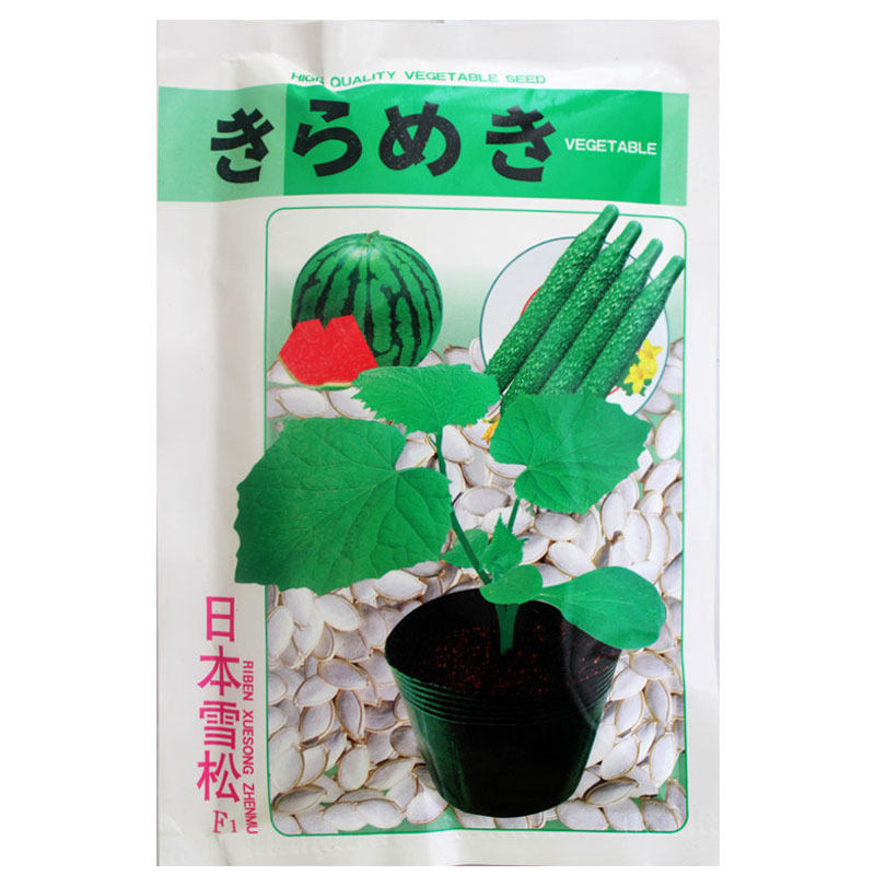 南瓜种子日本嫁接砧木南瓜种子