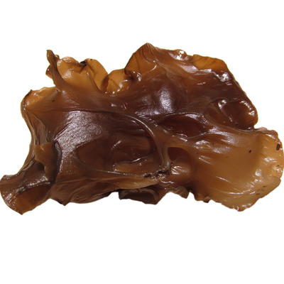 椴木春耳大朵肉薄山岭暮归人