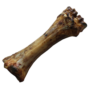 宠物磨牙棒拉布拉多幼犬零食洁齿中大型牛肉骨耐咬天然牛骨头大号