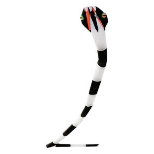 大型伞布软体蛇风筝无骨架立体气囊巨型好飞易飞大人专用成人大