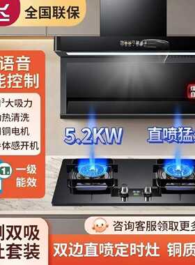 新飞抽油烟机燃气灶组合家用厨房AI语音控制烟灶套装猛火两件套