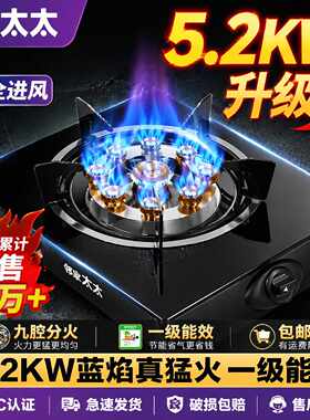 邻家好太太燃气灶灌装煤气灶猛火罐装液化气家用台式天燃气单头炉