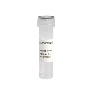 BIOSHARP LIFE SCIENCES 白鲨 BL623S BL623A BL623B BL623C BL623D BL623E 脂质体2000/Lip2000转染试剂 1ml