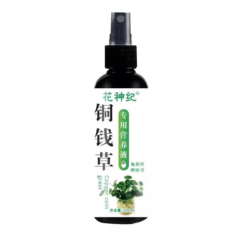 铜钱草水培专用营养液生根爆盆