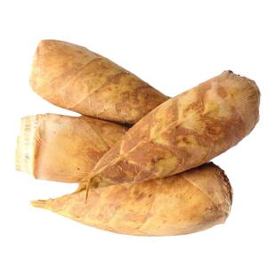 江西新鲜冬笋现挖5斤野生黄泥拱带壳竹笋10斤农家嫩笋楠竹笋蔬菜