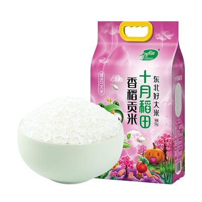 25年新米十月稻田香稻贡米5kg