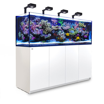 新款G3红海海水缸自动补水器静音