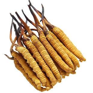 【藏族自营】正宗西藏那曲鲜冬虫夏草官方旗舰店新鲜正品虫草