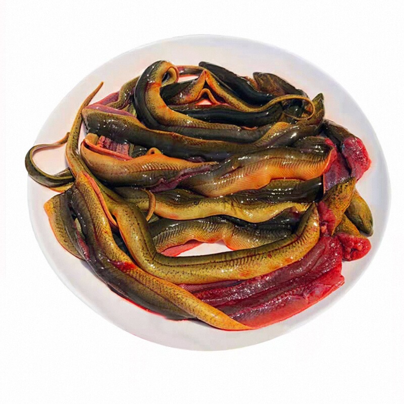 【鱔片】現(xiàn)殺鮮活黃鱔魚(yú)真空去骨鱔片新鮮帶血鱔片鱔絲鱔段筒鱔苗
