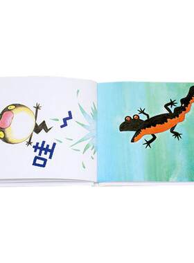 蹦+哇 精装硬壳绘本套装2册1-2-3岁幼儿早教益智绘本故事书幼儿园图书读物亲子睡前暖心共读绘本图画书【凤凰新华书店旗舰店】