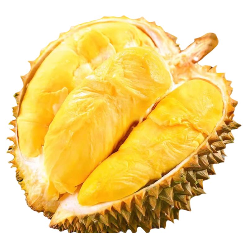 40年老树!顺丰次日达金枕榴莲