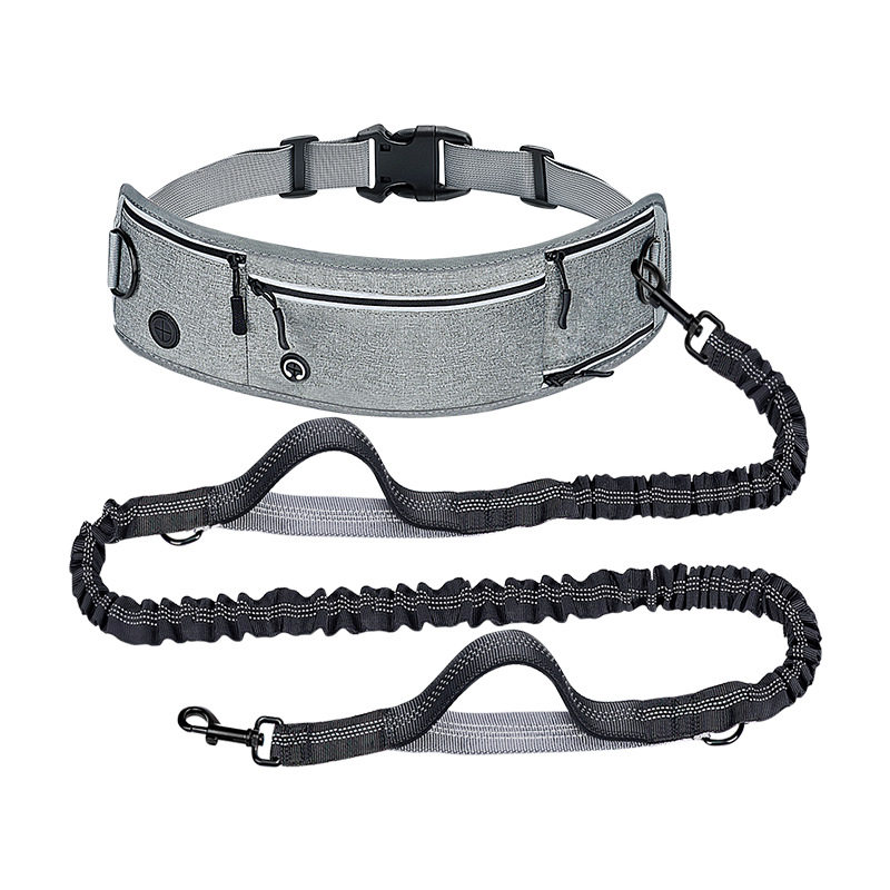 Petleashwithsportwaistbag