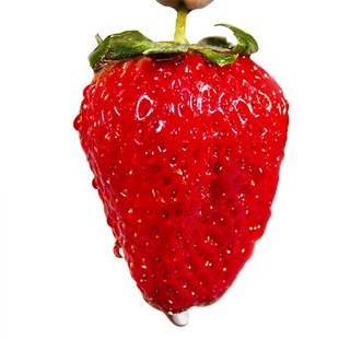 丹东99草莓新鲜现摘东港九九秸秆红颜奶油牛奶超大甜当季水果顺丰