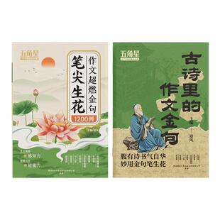 笔尖生花作文超燃金句1200例古诗里的作文金句作文妙语连珠高分词语6000词写作素材积累大全小学通用笔尖唤醒感知力作文提分辅导书