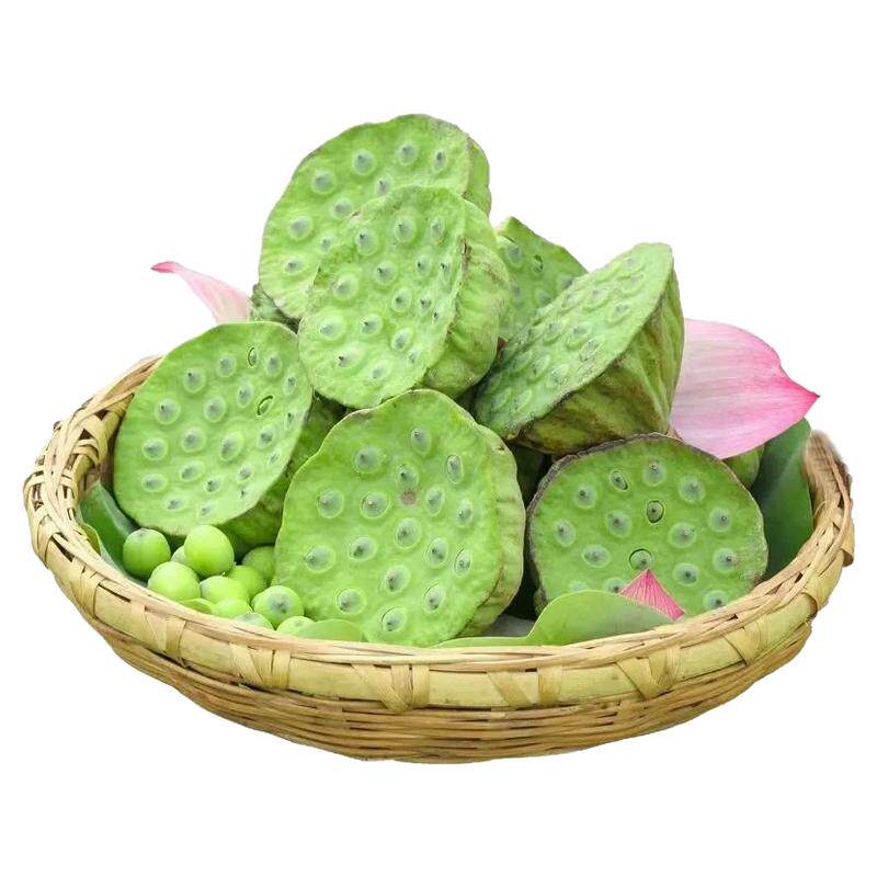 头茬新鲜水果莲蓬现摘当季莲子应季水果新鲜莲蓬鲜莲子米莲子即食