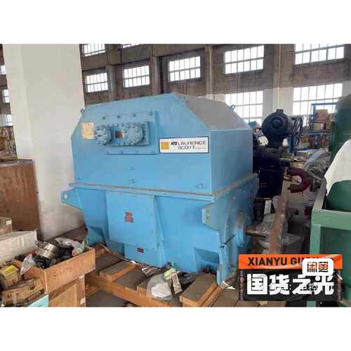 LS大电机560kw 6600电压2970转 工业驱动 大功率电机 重型设备