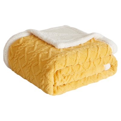 毛毯被子加厚冬季2025新款午睡毯