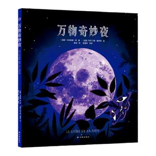 万物奇妙夜 人文科普科学自然知识儿童读物童书绘本 环保夜光油墨 全彩大开本 苗德岁审定 精装  译林出版社正版