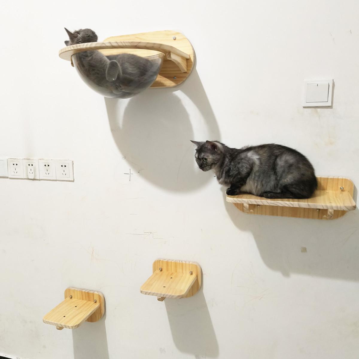 实木免打孔免钉猫咪墙上壁挂式太空舱窝猫爬架跳台猫墙吊床不占地
