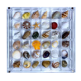 天然迷你小海螺贝壳海星高透注塑收纳盒材料包微贝沙标本海边礼物