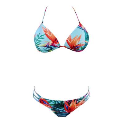 三角比基尼coritiv天堂鸟小胸