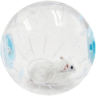 仓鼠跑轮超静音玩具跑球滚轮运动球支架金丝熊用品跑步球滚球玩具