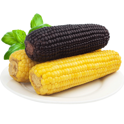 整箱5斤/2500克黑糯玉米2025头茬