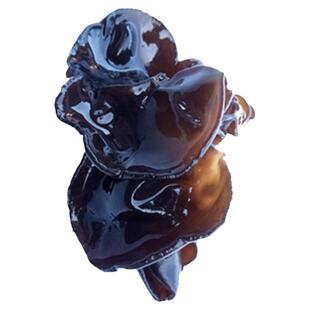 东北秋木耳干货大兴安岭特产非野生寒带黑木耳无根肉厚新货