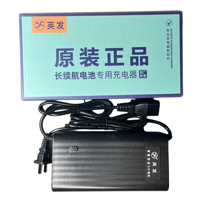 英发铅酸智能充电器60伏电动车