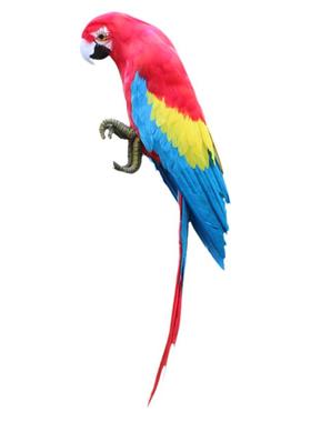 仿真摆件园林摄影客厅大鹦鹉