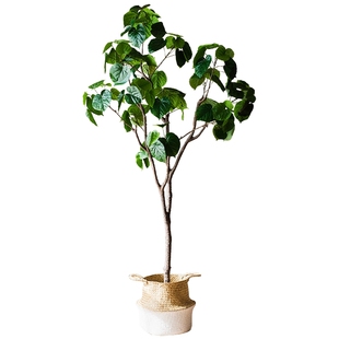 掬涵菩提树盆景仿真绿植大中小型装饰摆件餐厅会所客厅卧室落地面