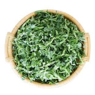 陕西头茬半野菜苜蓿菜金花菜草头菜草头新鲜采摘食用苜蓿2/3/4斤