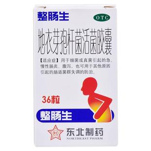 整肠生地衣芽孢杆菌活菌胶囊急慢性肠炎宁腹泻益生菌大人调理肠胃