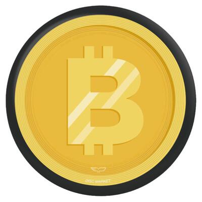 翼鲲团队飞盘专用指定户外