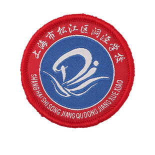 上海市松江区洞泾学校校徽现货校服运动服外套校标班服LOGO