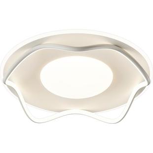 【五折/不包安装】主卧室灯现代简约客厅灯卧室灯吸顶灯具特价Q