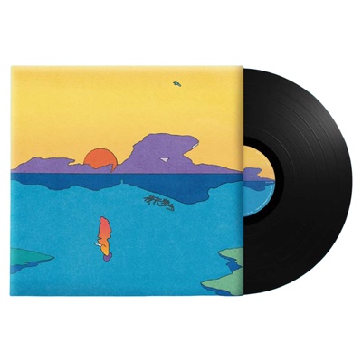 正版傻子与白痴夜长梦少黑胶