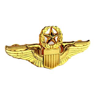 军迷美国士兵士官尉官校官肩章军衔金属徽章金属标船帽帽徽勋章