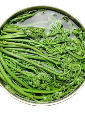 东北特产森源野生蕨菜滑子菇
