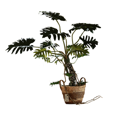 仿真绿植高级感龙鳞天使