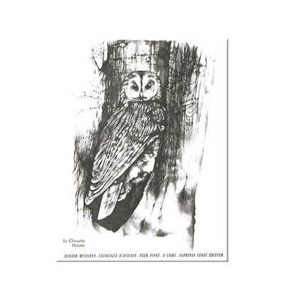 西安鸟鸣钢琴独奏海伦原版进口