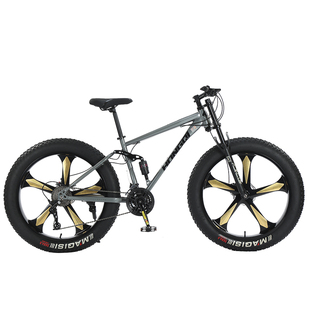 红旗官方旗舰店山地自行车超大宽轮胎减震男女雪地沙滩变速越野