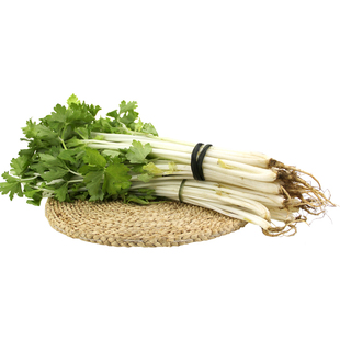 芹菜新鲜四川白芹菜土芹菜苗应季新鲜蔬菜当季芹菜苗白芹菜青芹菜