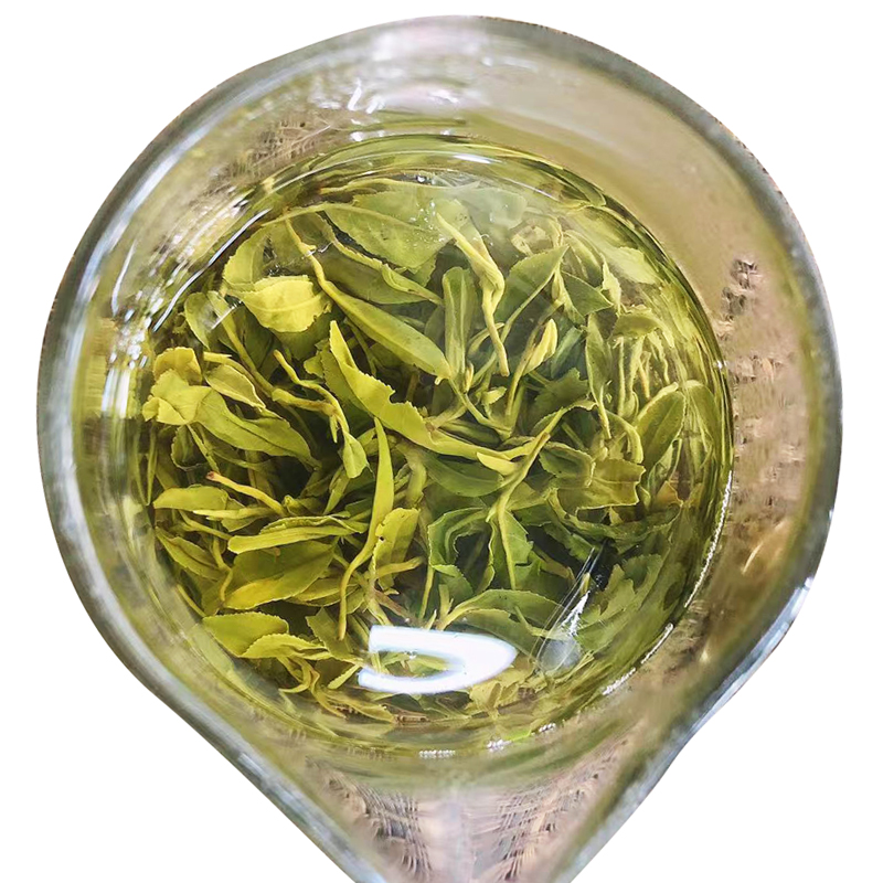 日照绿茶 2025年新茶 春茶高山云雾浓香型板栗香散装耐泡一级
