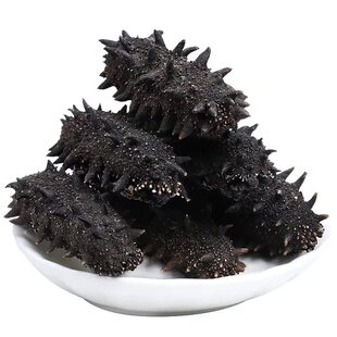 拉缸盐半干海参野生海底播半干海参非即食海参非干海参辽刺参500g